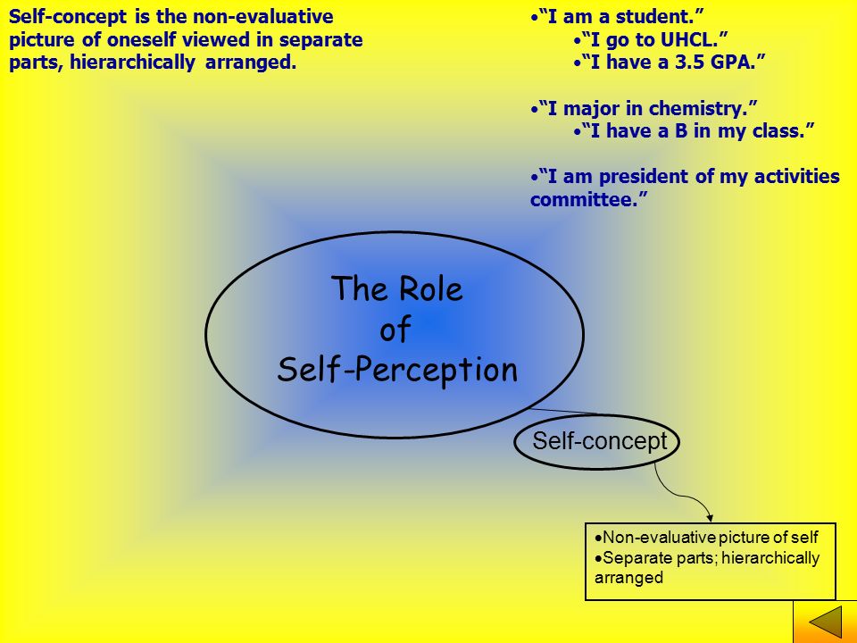 How Does Expectation Affect Perception